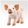 CERDITO
