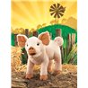 CERDITO
