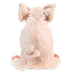 CERDITO