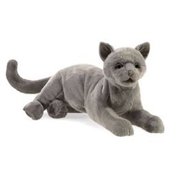 TÍTERE - GATO RONRÓN