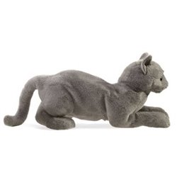 TÍTERE - GATO RONRÓN