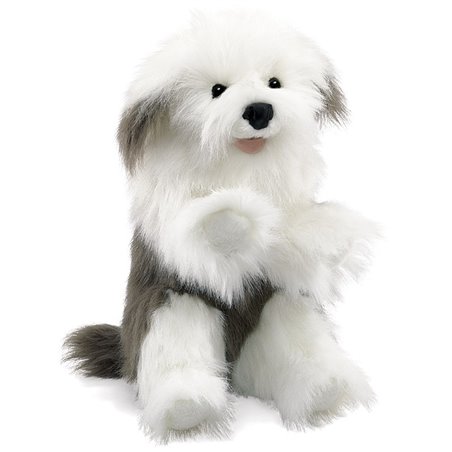 TÍTERE - PERRO OVEJERO