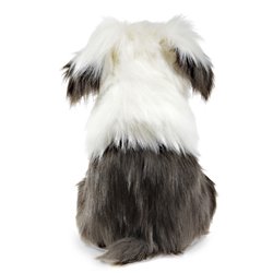 TÍTERE - PERRO OVEJERO