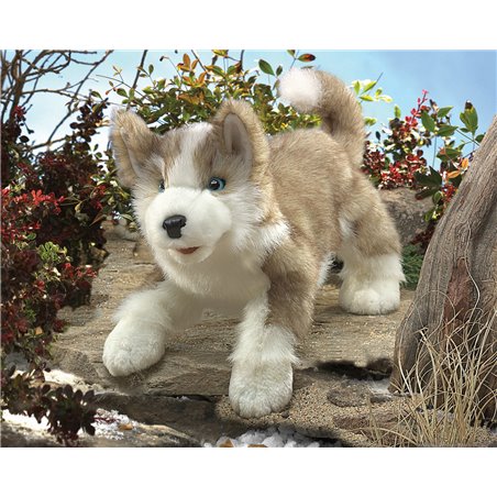 LOBO CACHORRO