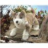 LOBO CACHORRO