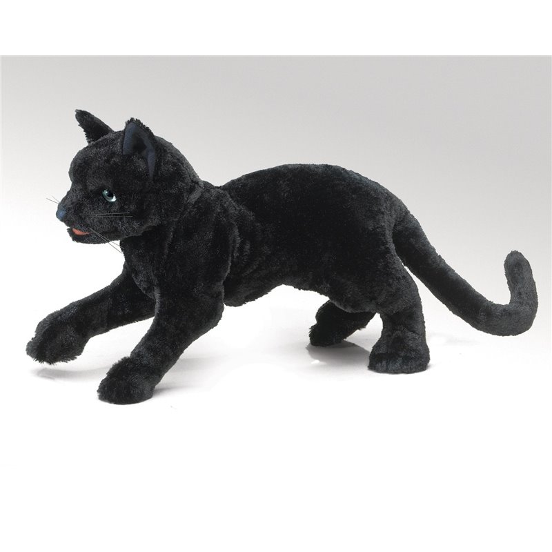 GATO NEGRO