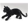 GATO NEGRO