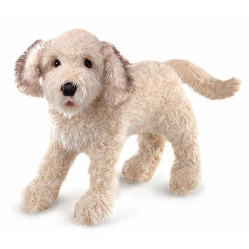 Títere. LABRADOODLE