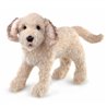 Títere. LABRADOODLE