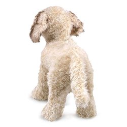 Títere. LABRADOODLE
