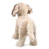 Títere. LABRADOODLE