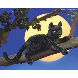 GATO NEGRO