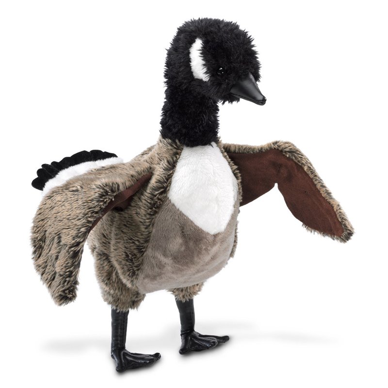 Títere. PATO CANADIENSE