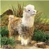 ALPACA