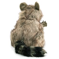 MAPACHE GRANDE