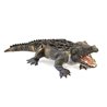 GRAN COCODRILO (LAGARTO AMERICANO)