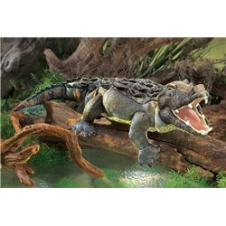 GRAN COCODRILO (LAGARTO AMERICANO)