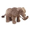 ELEFANTE