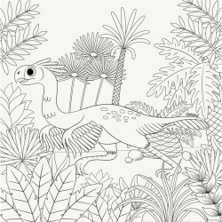 LIBRO DE COLOREAR. ¡ROAR! PARA COLOREAR