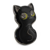 Pin. BLACK CAT STARRY by Compoco