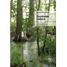 Libro. ECOSISTEMA CULTURAL