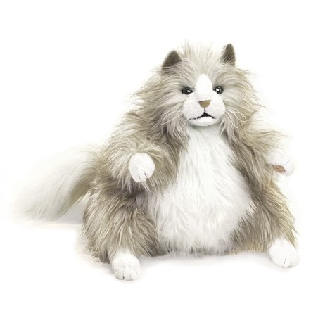 GATO ESPONJOSO