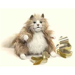 GATO ESPONJOSO