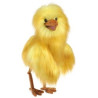 TÍTERE. HAPPY BIRD (AVE FELIZ)