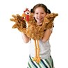 POLLO - GALLINITA
