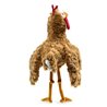 POLLO - GALLINITA