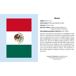 Juego de tarjetas de infografía. Flags of the World Knowledge Cards