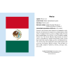 Juego de tarjetas de infografía. Flags of the World Knowledge Cards