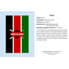 Juego de tarjetas de infografía. Flags of the World Knowledge Cards