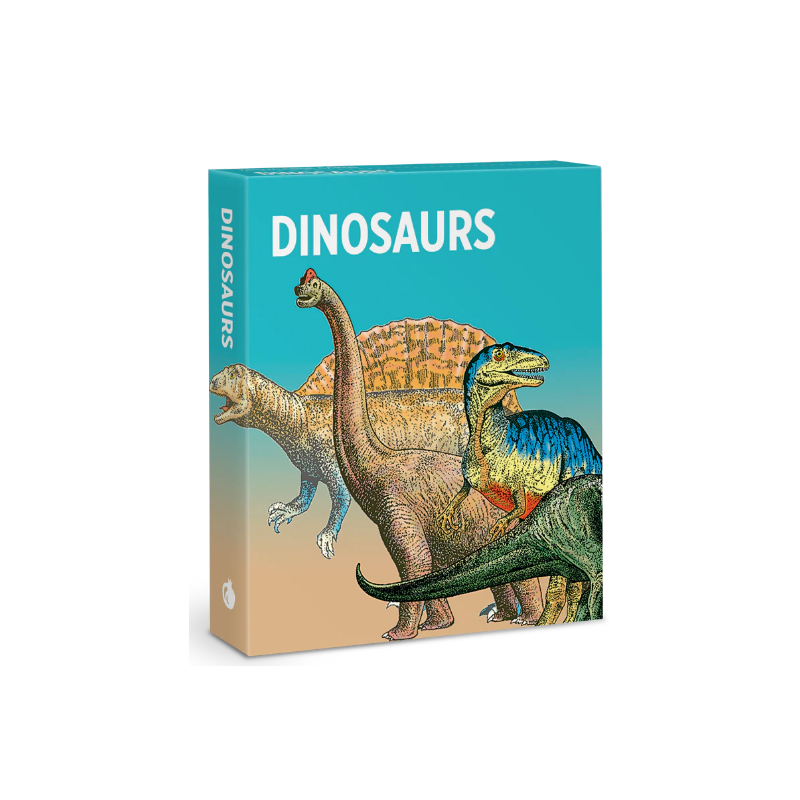 Juego de tarjetas de infografía. Dinosaurs Knowledge Cards