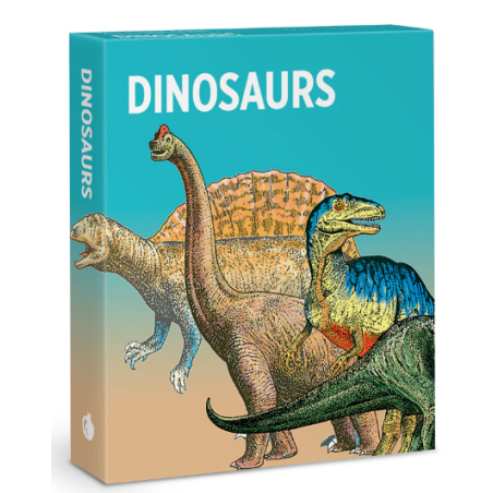Juego de tarjetas de infografía. Dinosaurs Knowledge Cards