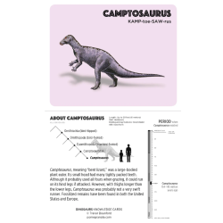 Juego de tarjetas de infografía. Dinosaurs Knowledge Cards