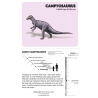 Juego de tarjetas de infografía. Dinosaurs Knowledge Cards