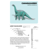 Juego de tarjetas de infografía. Dinosaurs Knowledge Cards