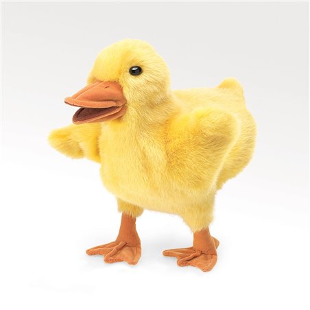 PATO