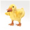 PATO