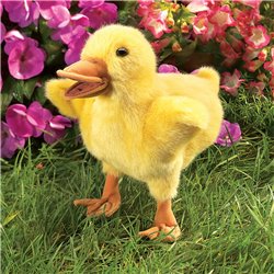 PATO