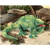 IGUANA