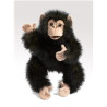 TÍTERE. CHIMPANCE BEBE