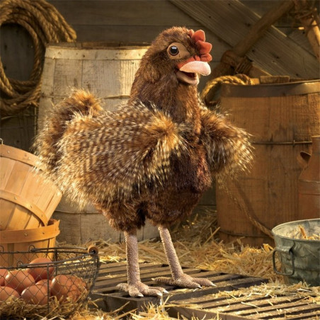 TÍTERE - GALLINA