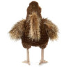 TÍTERE - GALLINA