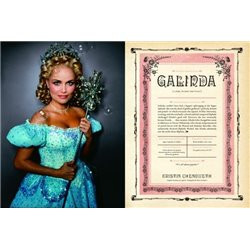 Libro. WICKED - THE GRIMMERIE