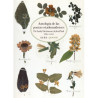 Libro. ANTOLOGÍA DE LAS POETAS ESTADOUNIDENSES. DE EMILY DICKINSON A SYLVIA PLATH (1830-2012)