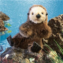 NUTRIA DE MAR BEBE