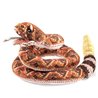 TÍTERE - SERPIENTE DE CASCABEL