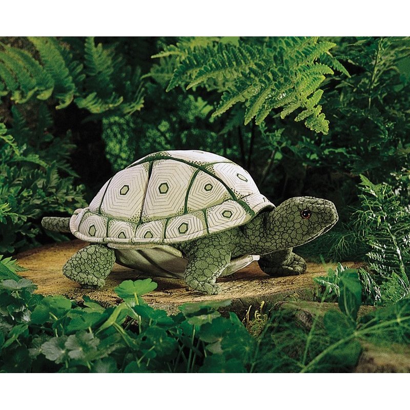 TORTUGA